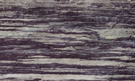 Violet Bamboo