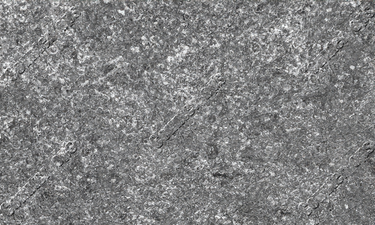 Meteorus Brushed