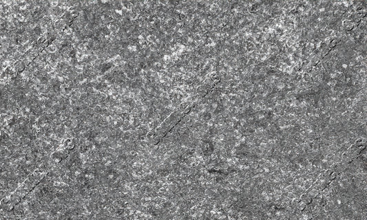 Meteorus Brushed