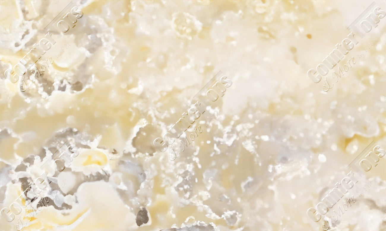 Norm White Onyx