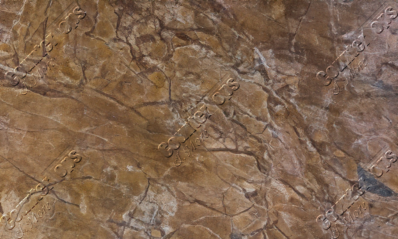 Rainforest Brown