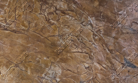 Rainforest Brown