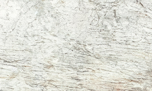 Ambrosia White