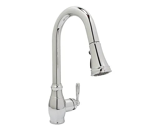 PROHS Polished Chrome Orchid Kitchen Faucet
