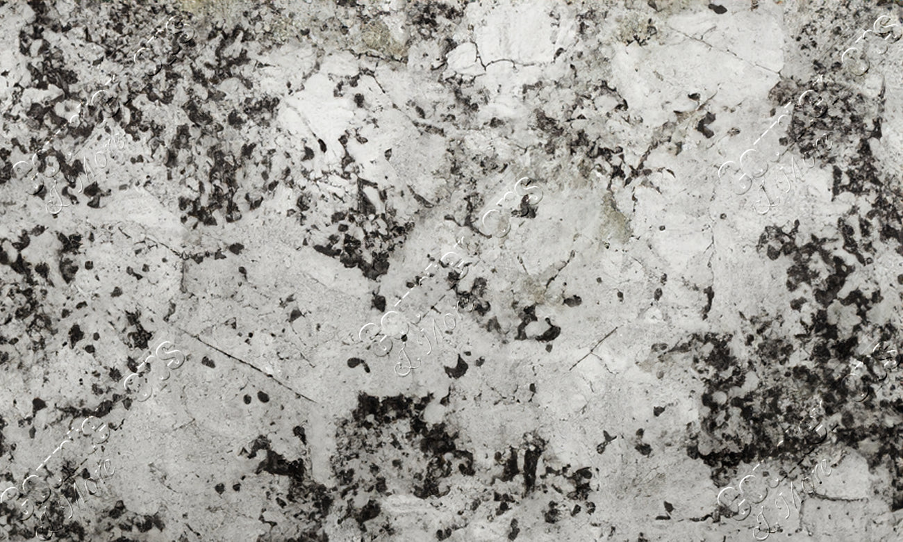 Delicatus White