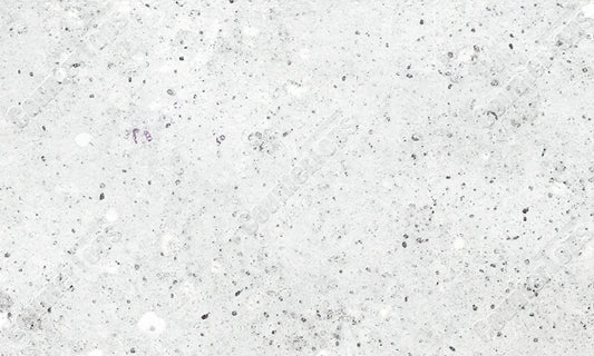 Colonial White