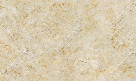Ivory Gold