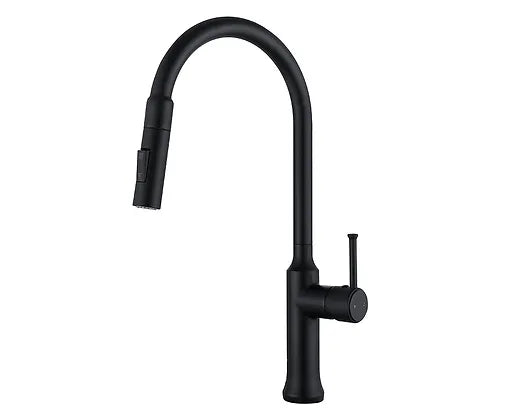Goode  Abel Matte Black Amos Kitchen Faucet