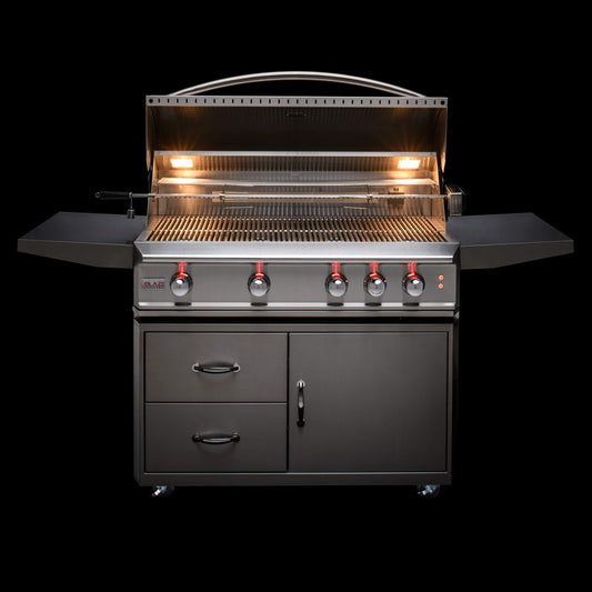 Stainless Professional Grill